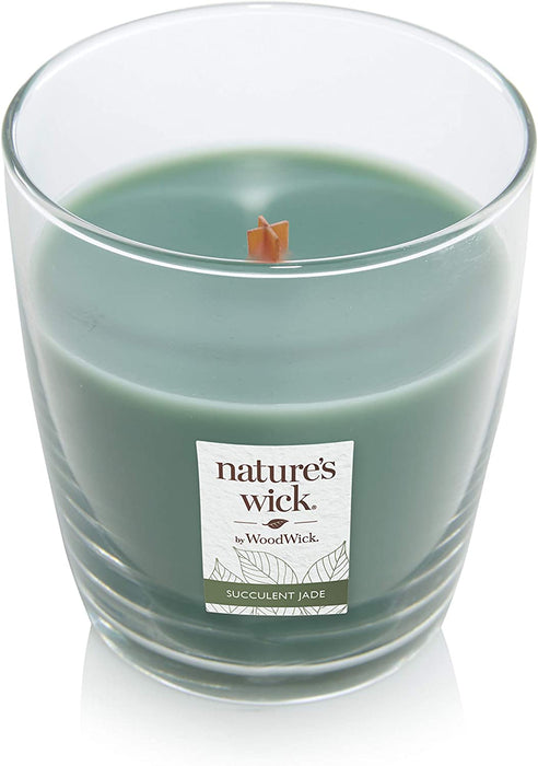 Nature's Wick Succulent Jade Scented Candle, 10 oz