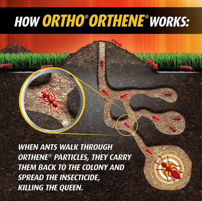 Ortho Orthene Fire Ant Killer, 2-Pack , 2 x 12 oz