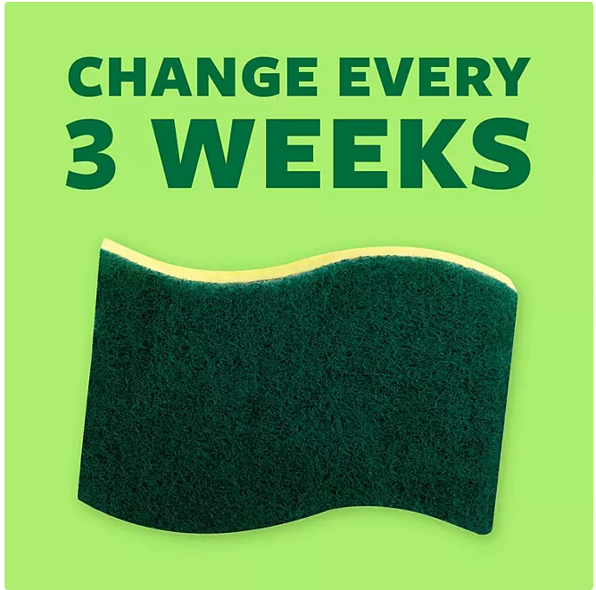 Scotch Brite Heavy Duty Scrub Sponge, 24 PACK