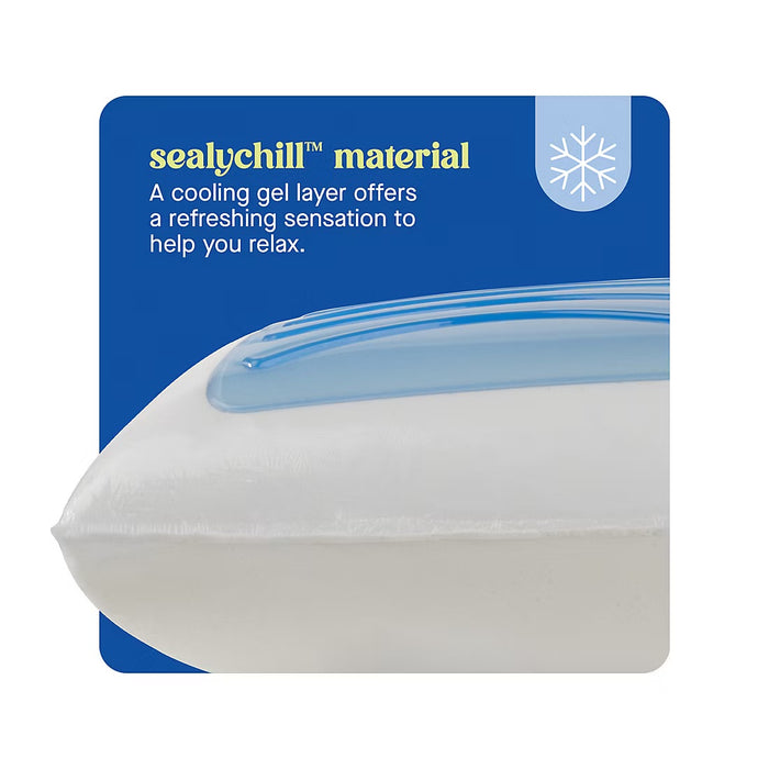 Sealy Dreamlife Memory Foam Gel Standard Size Pillow, 1 pc