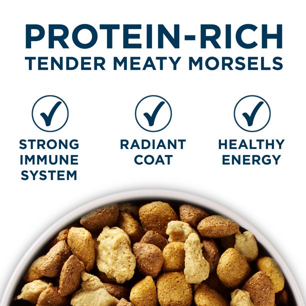 Purina One Plus Large Breed Adult Formula Dry Dog Food , 31.1 lbs