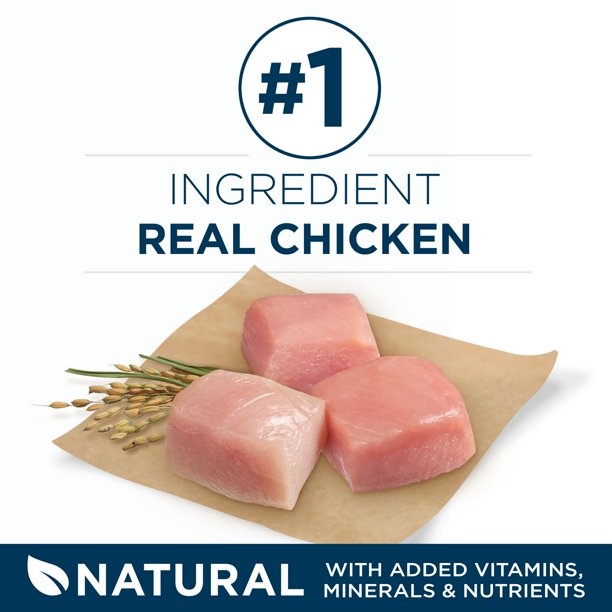 Purina One Plus Large Breed Adult Formula Dry Dog Food , 31.1 lbs