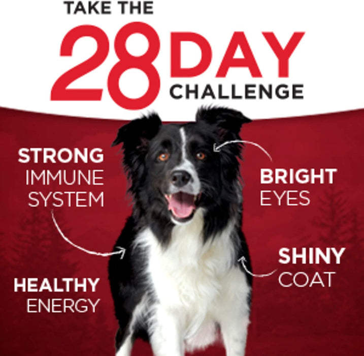 Purina One Smartblend True Instinct Canned Food For Adult Dogs, 12 x 13 oz