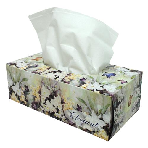 Elegant White Facial Tissues , 160 ct —