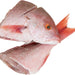 Whole Lane Snapper Fish, 1 ct (ca. 500 gr)