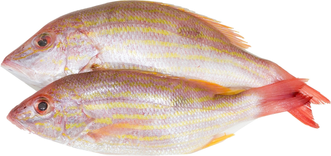 Whole Red Snapper Fish, 2 ct (ca. 500 gr)