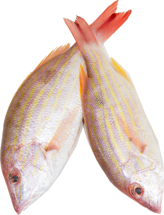 Whole Red Snapper Fish, 2 ct (ca. 500 gr)