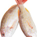 Whole Red Snapper Fish, 2 ct (ca. 500 gr)