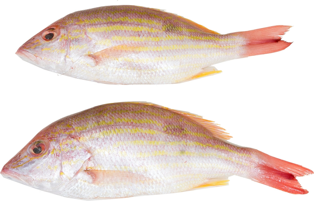 Whole Red Snapper Fish, 2 ct (ca. 500 gr)