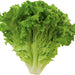 Green Leaf Lettuce, 1 pc