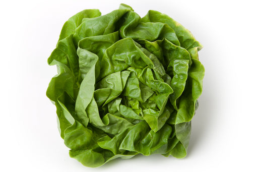 Boston Lettuce, 1 pc