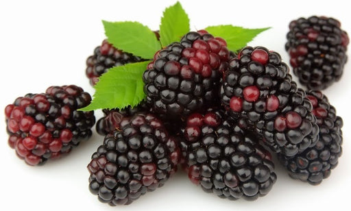 Mora de Castilla Blackberries, 250 gr