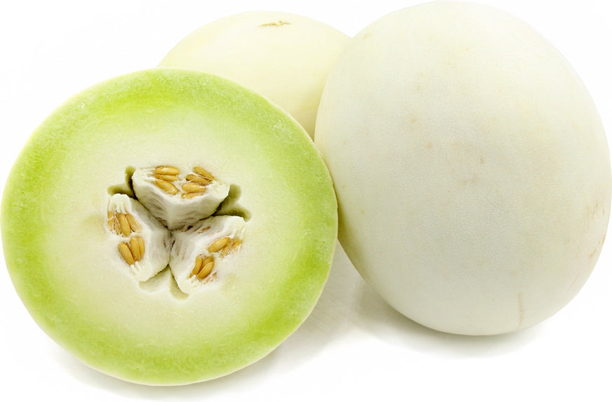 Honeydew Melon, 1 pc