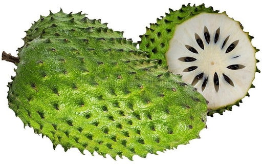 Soursop (Sorsaka), 1 pc