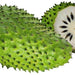 Soursop (Sorsaka), 1 pc