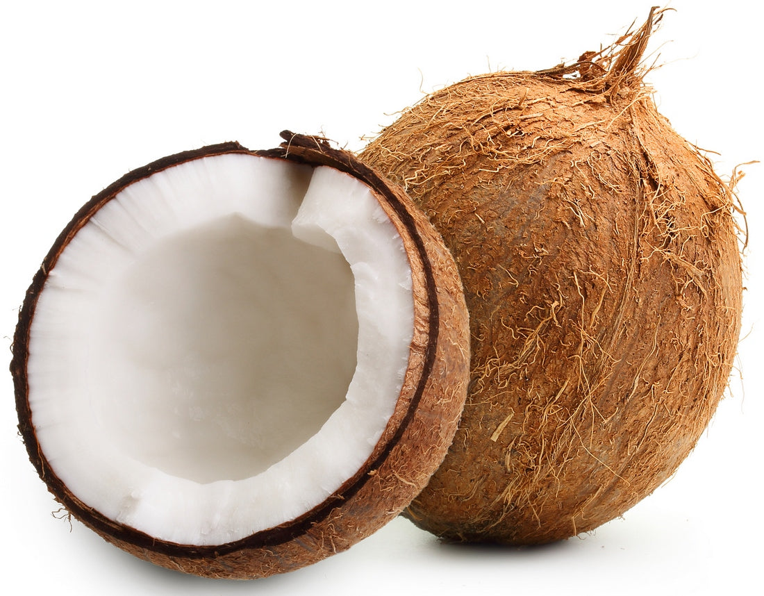 Coconut, 1 pc