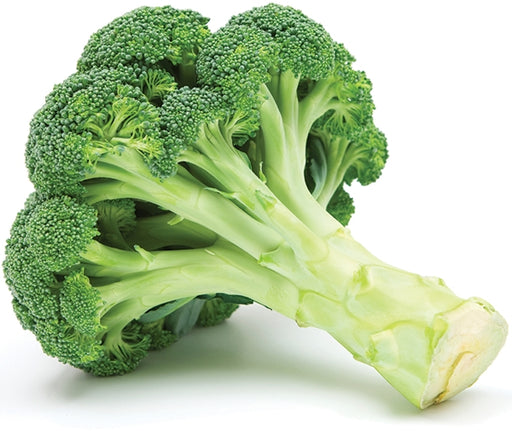 Broccoli, 1 pc