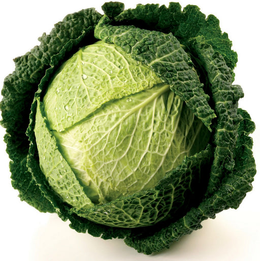 Savoy Cabbage, 1 pc