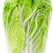 Napa Cabbage, 1 pc