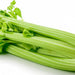 Celery, 1 pc