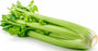 Celery, 1 pc