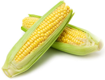 Yellow Corn, 2 pcs