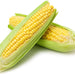 Yellow Corn, 2 pcs