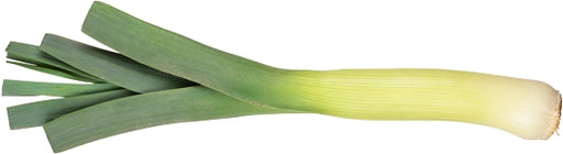 Leek (Prei), 1 pc