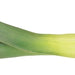 Leek (Prei), 1 pc