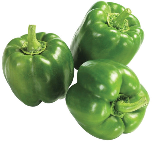 Green Bell Pepper, 500 gr