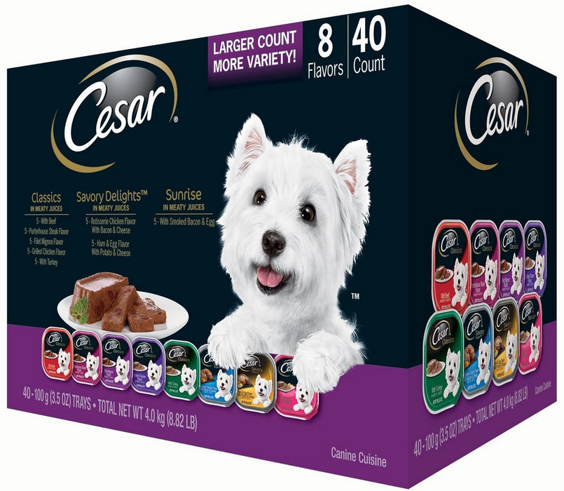 Cesar Canine Wet Dog Food Classics Variety Pack, 40 x 100 g