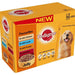 Pedigree Adult Dog Pouches Favourites In Jelly, Variety Pack, 12 x 100 gr