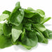 Spinach, ca. 280 gr