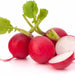 Radishes, 170 gr