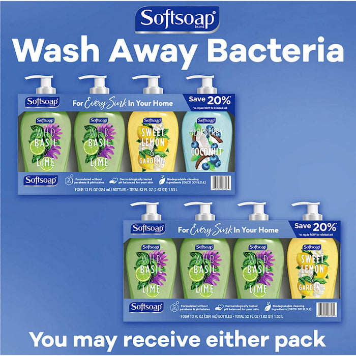 Softsoap Liquid Hand Soap Decor Variety 4-Pack, 4 x 3 oz