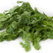 Cilantro Herb, 50 gr