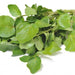 Watercress, 1 pc