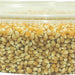 Popcorn Kernels, 1750 gr