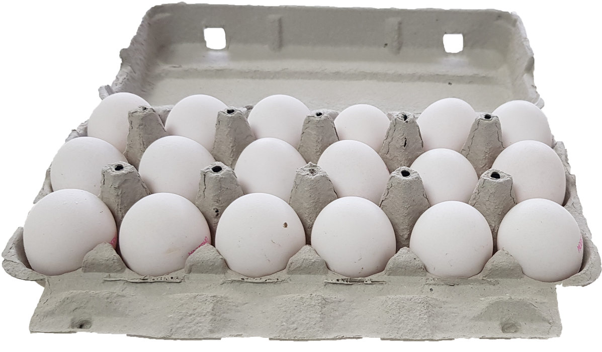 Eggs Case, 18 pcs (White)