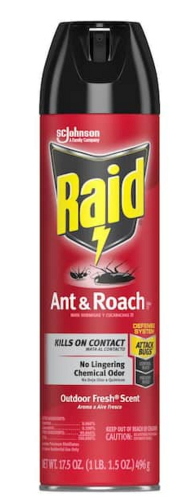 Raid Ant & Roach Killer Spray, 17.5 oz