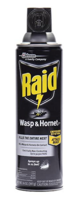 Raid Wasp & Hornet Killer Spray , 17.5 oz