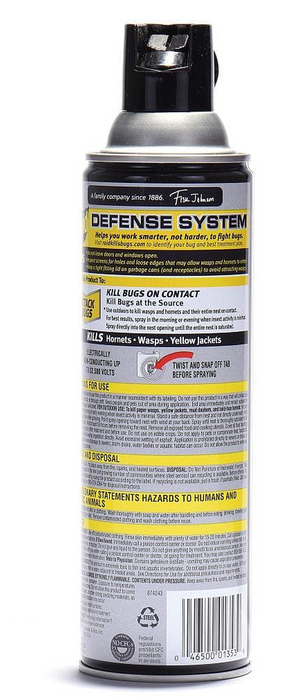 Raid Wasp & Hornet Killer Spray , 17.5 oz