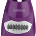 Black & Decker 10-Speed Blender, Purple, Model #BLBD10PV