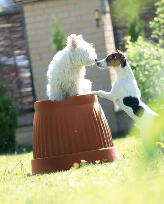 Prosperplast Terra Pot, 5 L