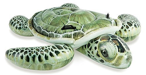 Intex Realistic Sea Turtle Ride On Inflatable Floatie, Model # 57555NP