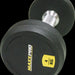 LiveUp Poly Dumbell, 4 kg, 