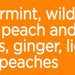 Bigelow Benefits Calm Stomach Herbal Tea with Ginger & Peach, 18 ct