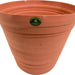 La Ardilla Plastic Terracotta Flowerpot, 14 x 12 inch