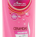 Sedal Co-Creations Ceramides Strength & Shine Shampoo, 340 ml