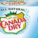 Canada Dry Original Sparkling Seltzer Water, 8 x 12 oz